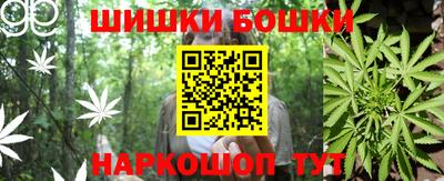 молекула духа Новодвинск