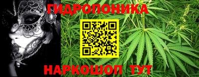 молекула духа Новодвинск