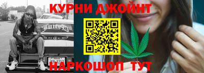 молекула духа Новозыбков
