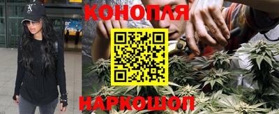 молекула духа Новозыбков