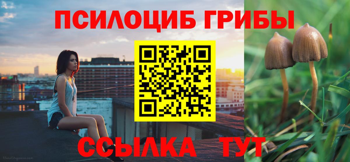 где купить наркотик  Псилоцибиновые грибы мицелий  Вход с VPN  Бутурлиновка 