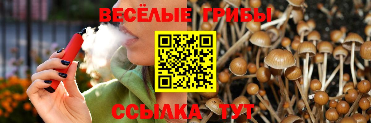 Псилоцибиновые грибы Cubensis Бутурлиновка